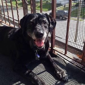 Meet your Posher, Tara